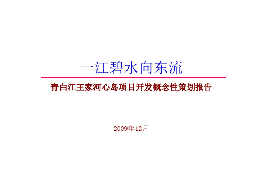 成都青白江王家河心岛项目开发概念性策划报告_88PPT_XXXX