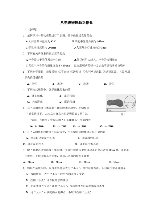 16—17学年上学期八年级物理独立作业11(附答案)