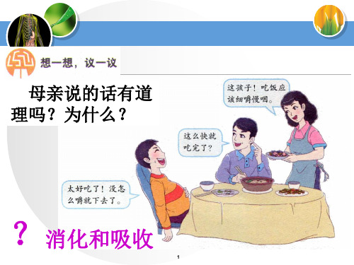 食物的消化和吸收PowerPoint 演示文稿