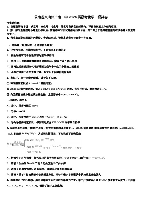 云南省文山州广南二中2024届高考化学二模试卷含解析