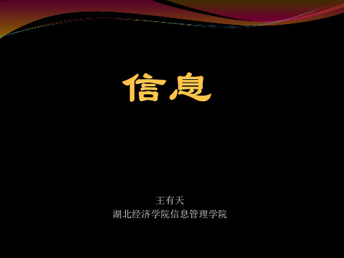 王有天湖北经济学院信息管理学院