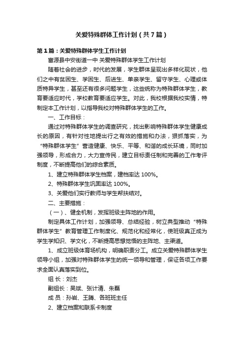 关爱特殊群体工作计划（共7篇）