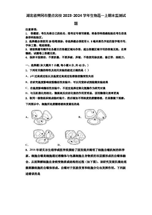 湖北省黄冈市重点名校2023-2024学年生物高一上期末监测试题含解析