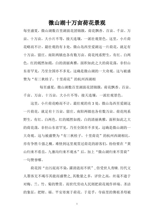 微山湖十万亩荷花景观