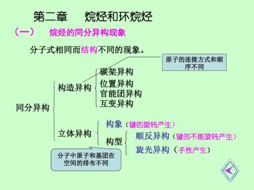 大学有机化学总复习-PPT课件