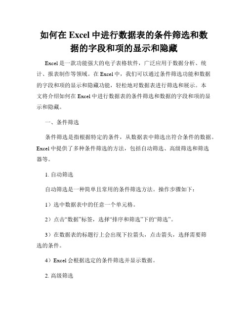 如何在Excel中进行数据表的条件筛选和数据的字段和项的显示和隐藏