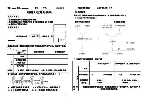 细胞工程专题复习