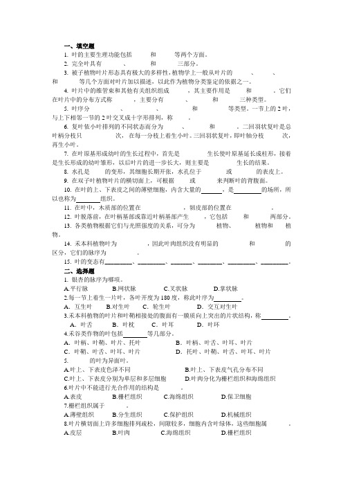 植物学习题2_4