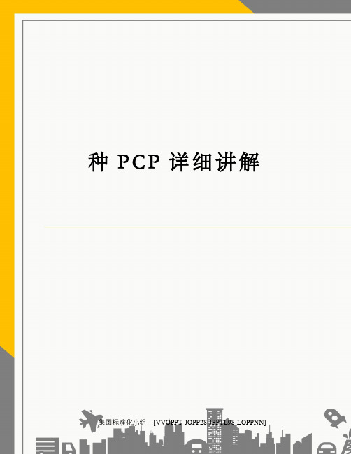 种PCP详细讲解修订版