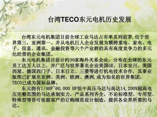 解读台湾TECO东元电机特点