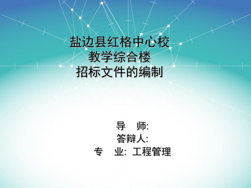 招标文件毕业答辩PPT