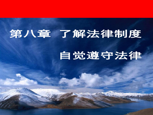 思想道德修养与法律基础第八章了解法律制度自觉遵守法律