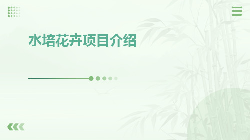 水培花卉项目介绍