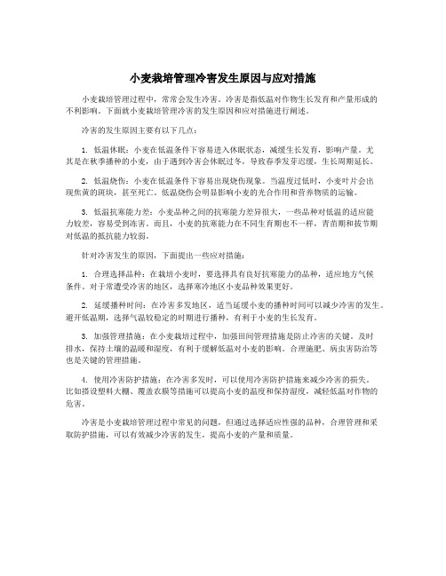 小麦栽培管理冷害发生原因与应对措施