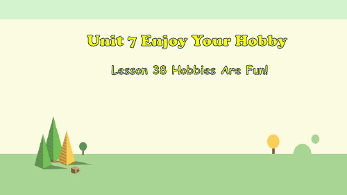 冀教版英语八年级上册   Lesson 38 Hobbies Are Fun!