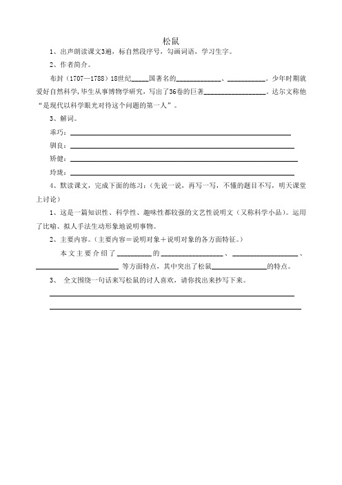 《松鼠》练习题