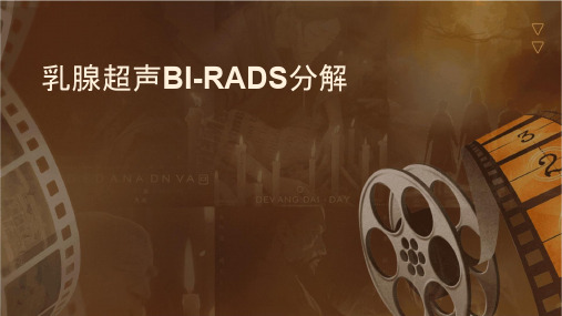 乳腺超声BIRADS分类解读护理课件