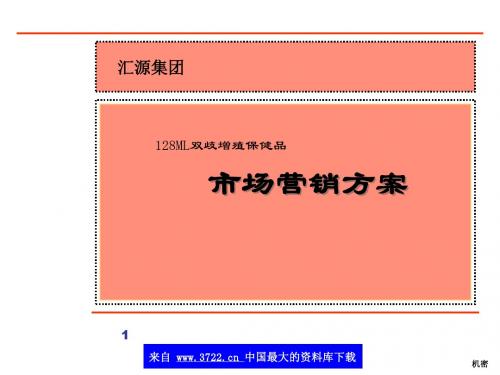 xx集团市场营销方案(ppt 128)