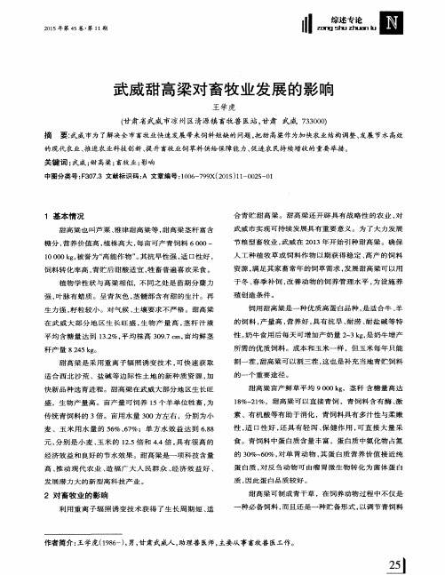 武威甜高梁对畜牧业发展的影响