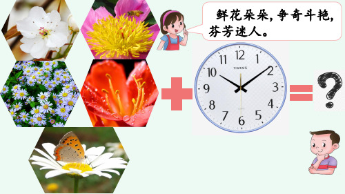 13.《花钟》课件(共35张PPT)