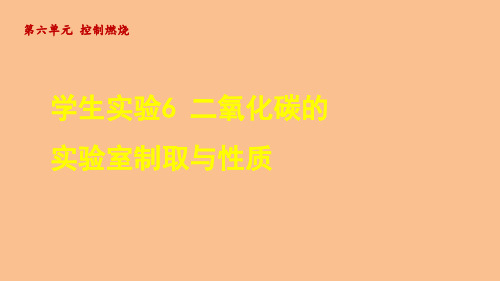 学生实验6 二氧化碳的实验室制取与性质(课件)鲁教版(2024)化学九年级上册