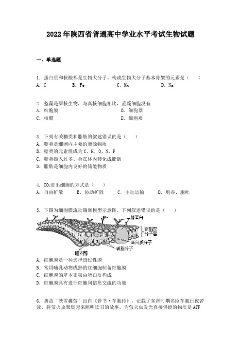 2022年陕西省普通高中学业水平考试生物试题