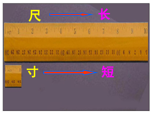人教新课标四年级语文上册《尺有所短-寸有所长》课件