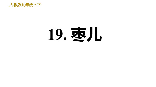 2020-2021学年人教版九年级下册语文习题课件  19. 枣儿