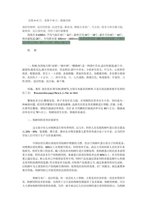 构树基本习性