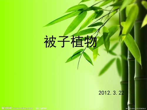 园林植物识别(较全)