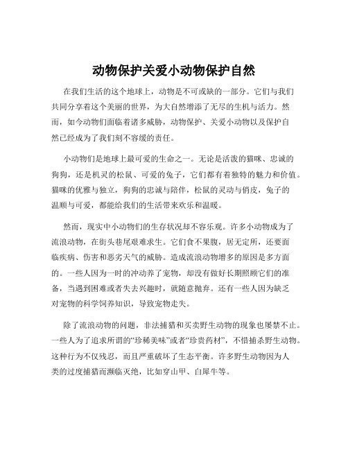 动物保护关爱小动物保护自然