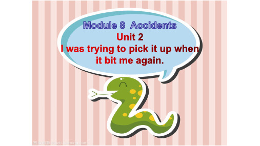 外研版初二英语上册Module 8 Accidents Unit 2 .课件