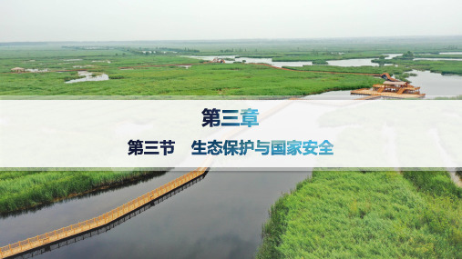 人教版高中地理选择性必修3资源、环境与国家安全 第3章环境安全与国家安全 第三节 生态保护与国家安全