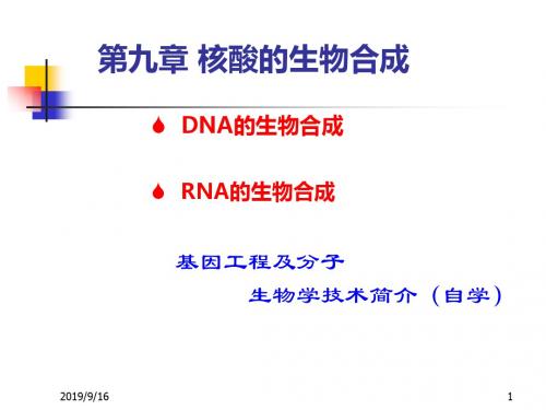 第九章核酸合成