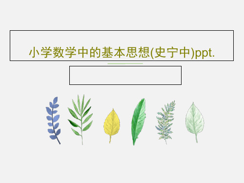 小学数学中的基本思想(史宁中)ppt.共29页文档