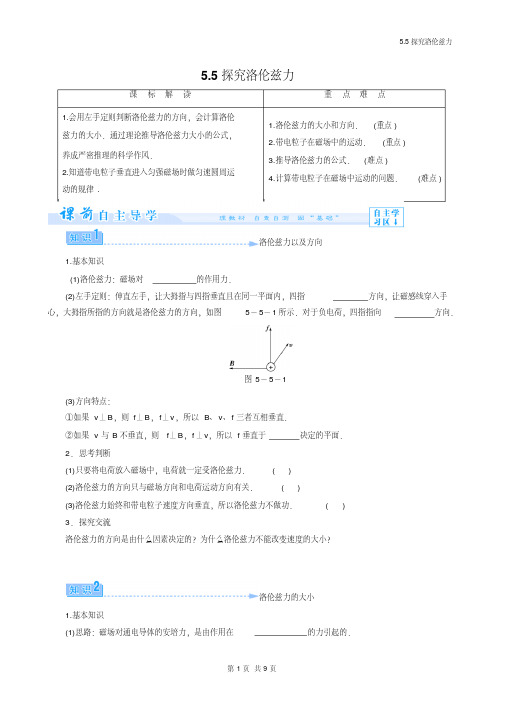 5.5探究洛伦兹力(学)剖析