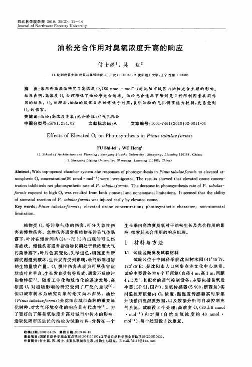 油松光合作用对臭氧浓度升高的响应