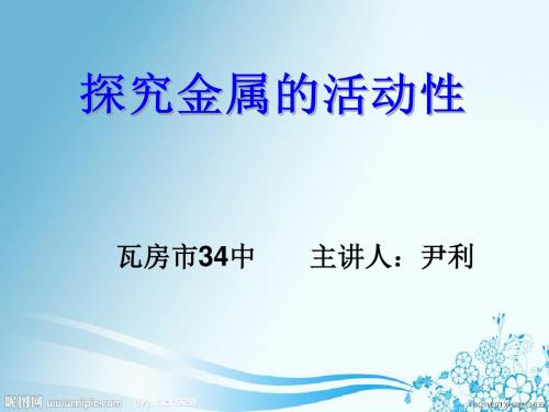 金属活动性顺序的探究、判断与应用(1)研究