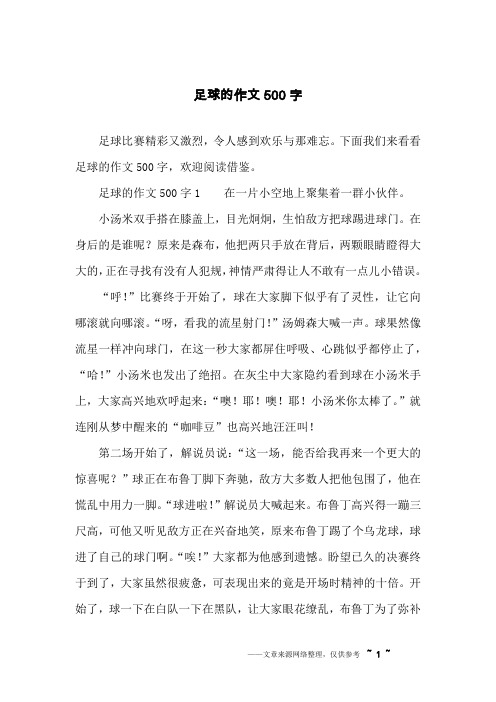 足球的作文500字