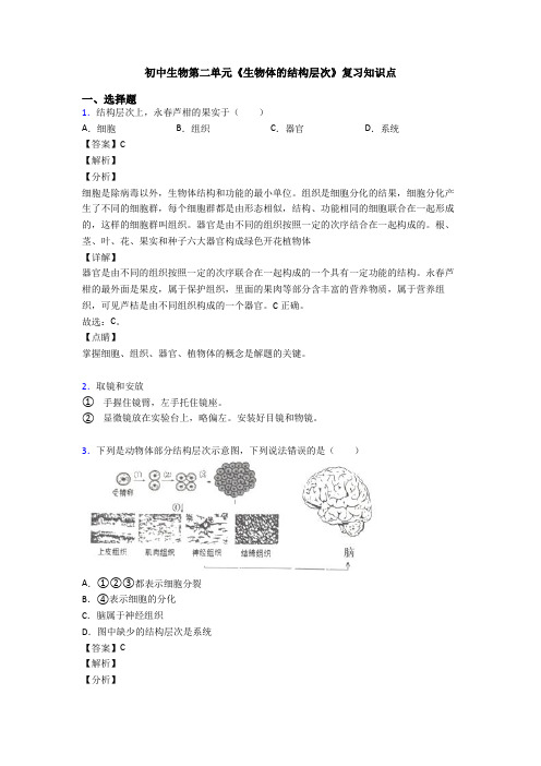 初中生物第二单元《生物体的结构层次》复习知识点