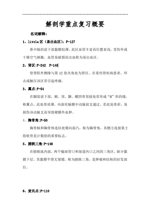 解剖学重点复习概要