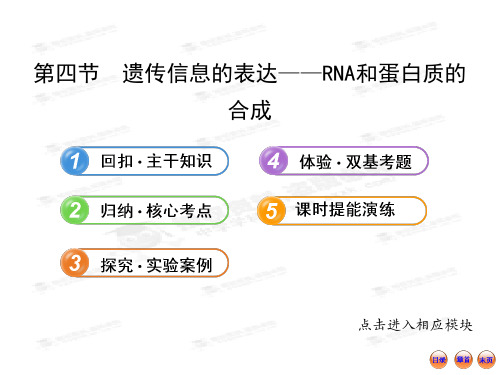 【最新】版高中生物全程复习方略配套课件(浙科版·浙江专用)：2.3.4遗传信息的表达——RNA和蛋白