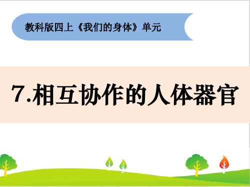 最新教科版四年级上册科学《相互协作的人体器官》教学课件