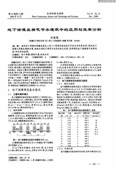 地下滴灌在棉花节水灌溉中的应用与效果分析