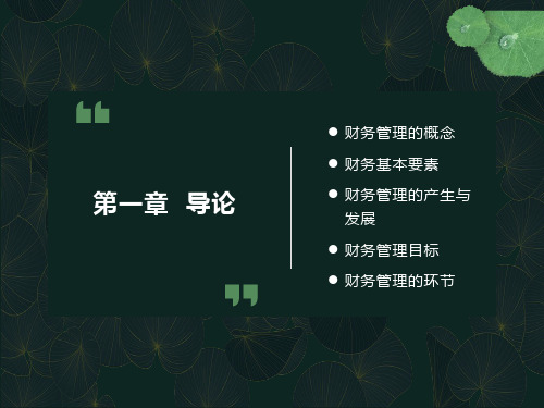 公司财务管理课件第一章