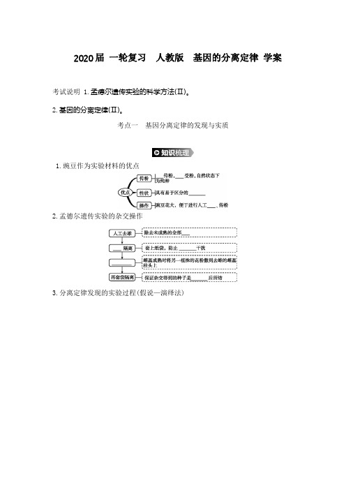 2020届 一轮复习  人教版  基因的分离定律 学案