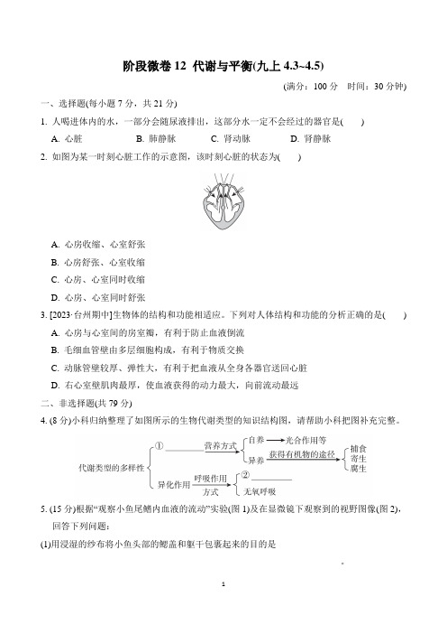 2024年浙教版九年级科学阶段微卷12 代谢与平衡(九上4. 3～4. 5)