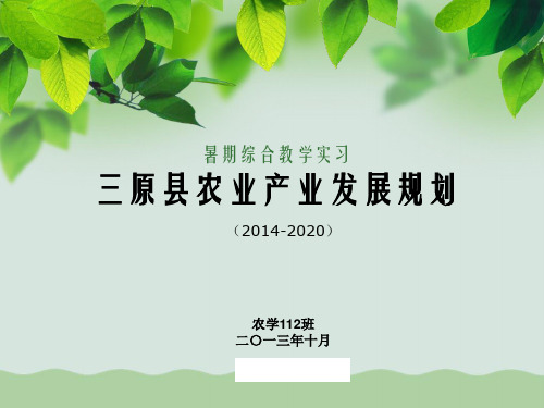 农业产业发展规划PPT(共35页)