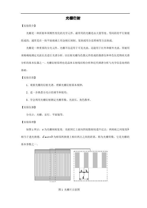 10讲义(光栅衍射)