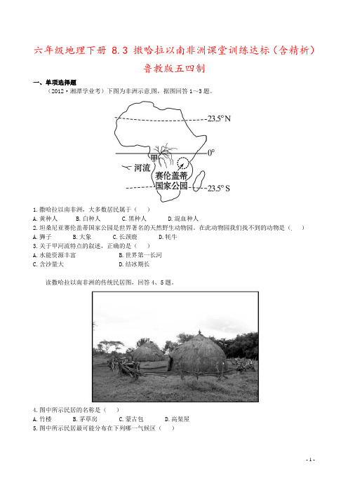 六年级地理下册 8.3 撒哈拉以南非洲课堂训练达标(含精析) 鲁教版五四制